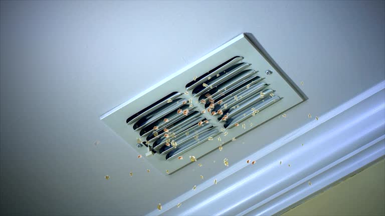 Best Air Duct Cleaning Near Me  in Lauderdale Lakes, WI