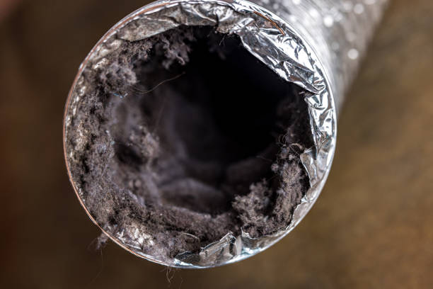Best Residential Air Duct Cleaning  in Lauderdale Lakes, WI