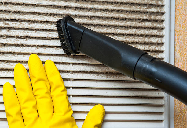 Best Local Air Duct Cleaning Services  in Lauderdale Lakes, WI